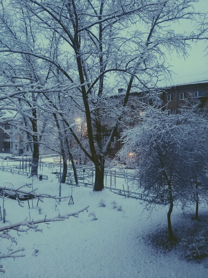 winter ❄ 