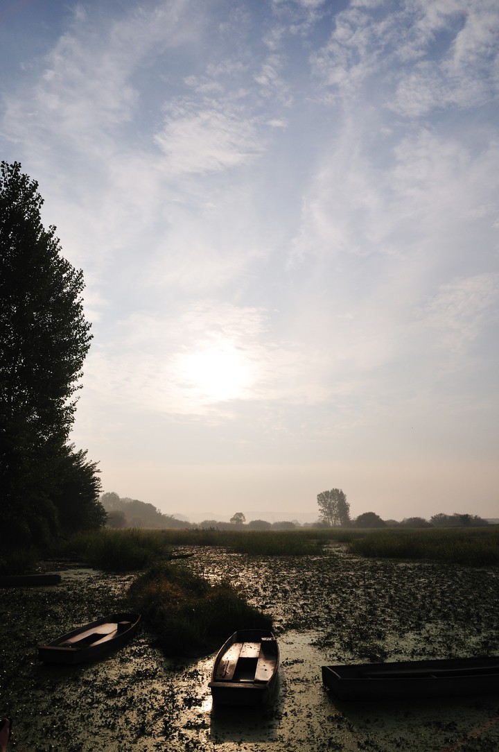 Scenics