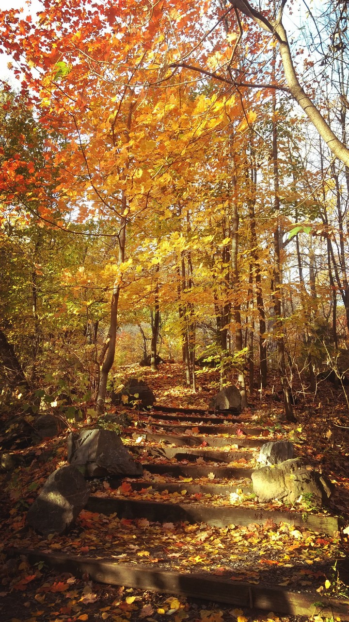 Pathway