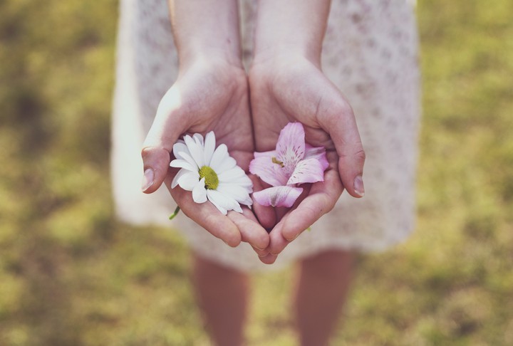 Bloom in Hands ❣️❣️❣️❣️
