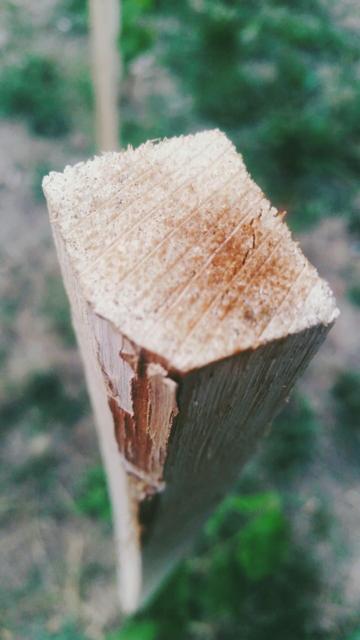 Wooden