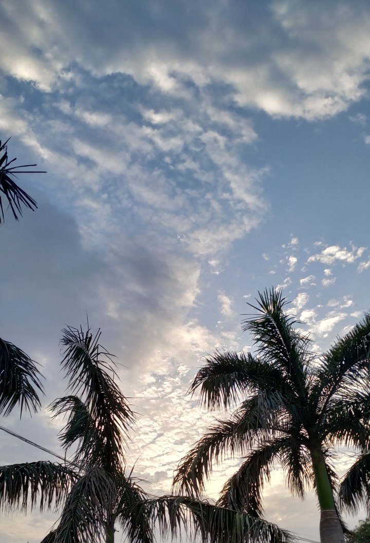 A beautiful day