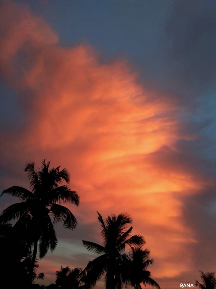 SHADES OF SUNSET..