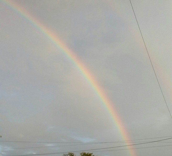 Rainbow