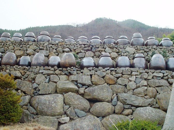 Traditional Culture