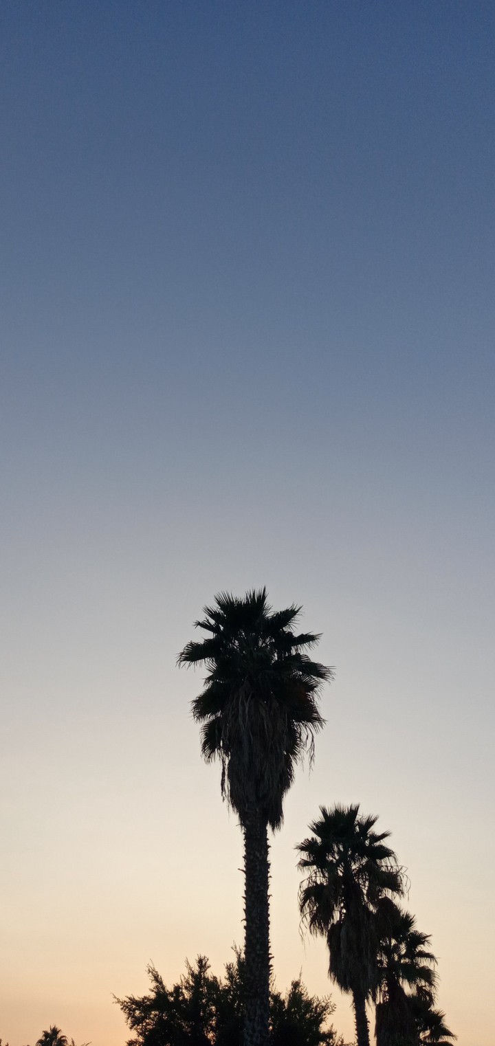 Sunset♡