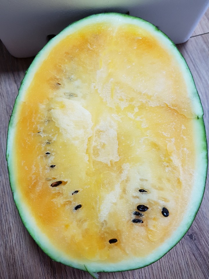 dưa hấu vàng 