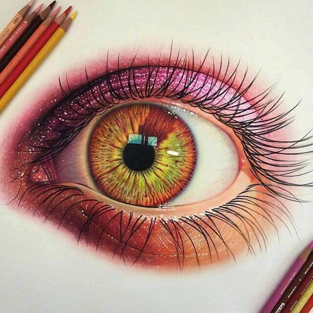 eye