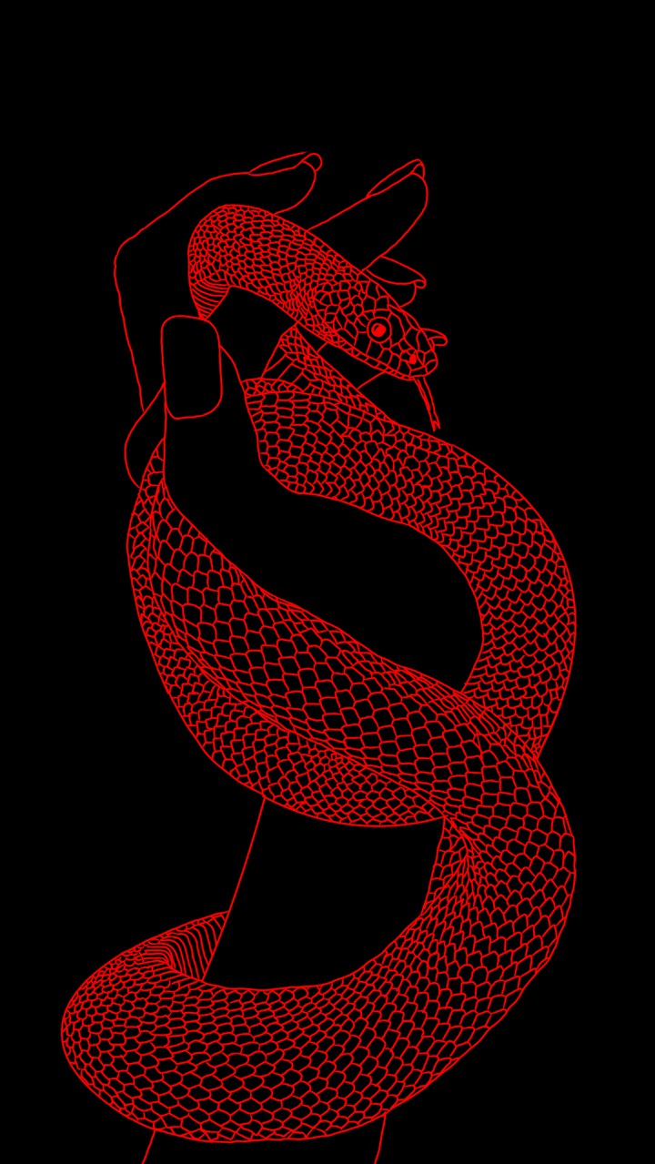 snake in hand