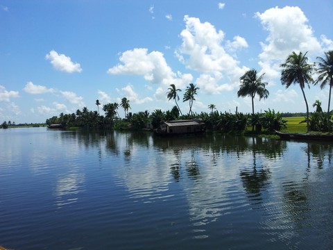 Alappuzha backwaters