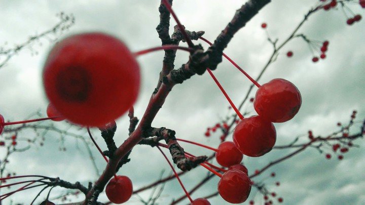 christmas is almost here