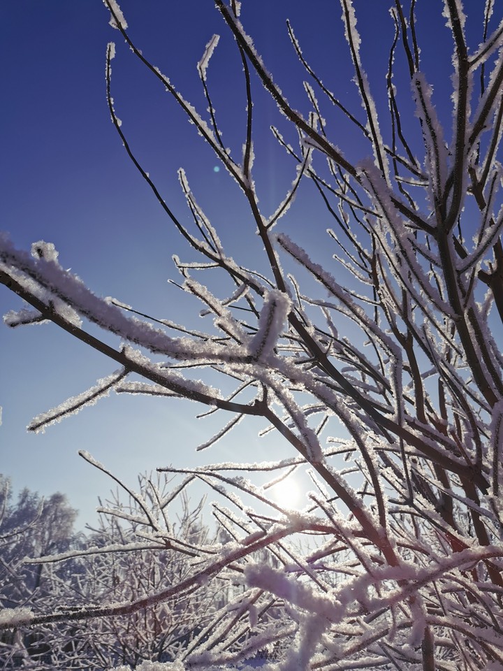 winter