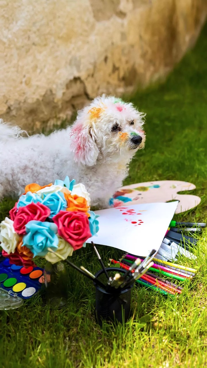 Dog & painting & Greenness