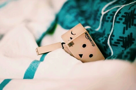 Sleeping Danbo.