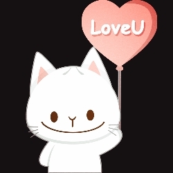 kotek
