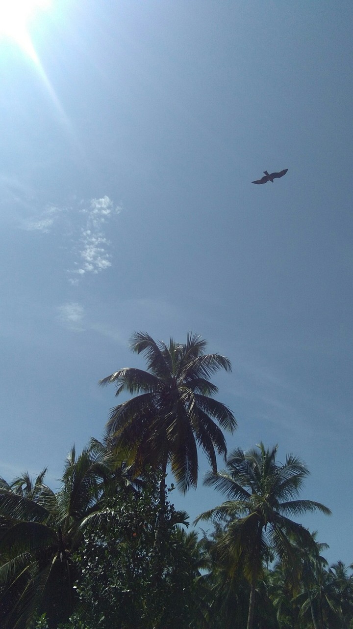 sky