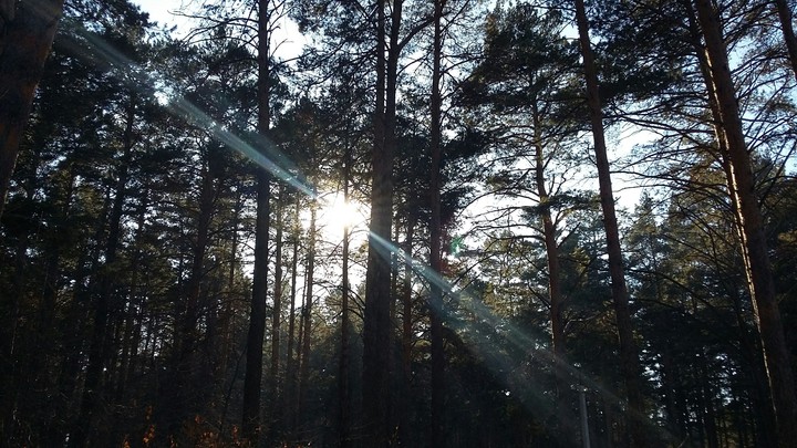 Light