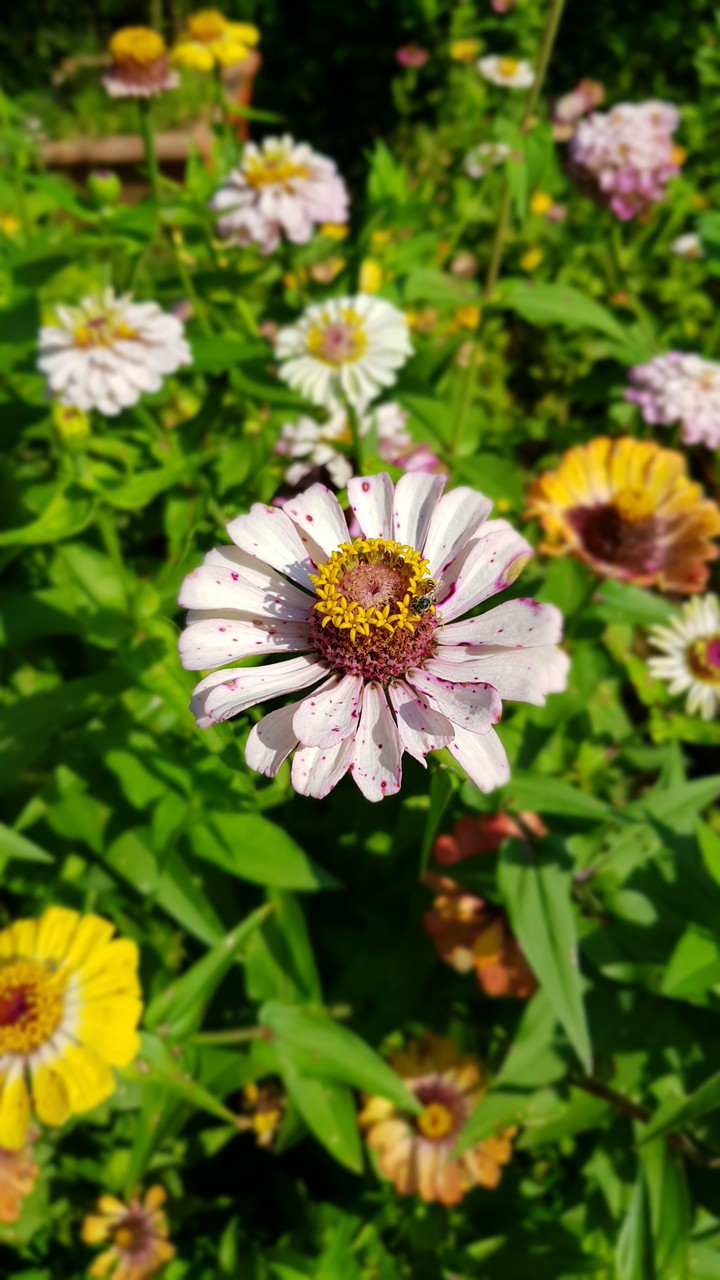 Nature