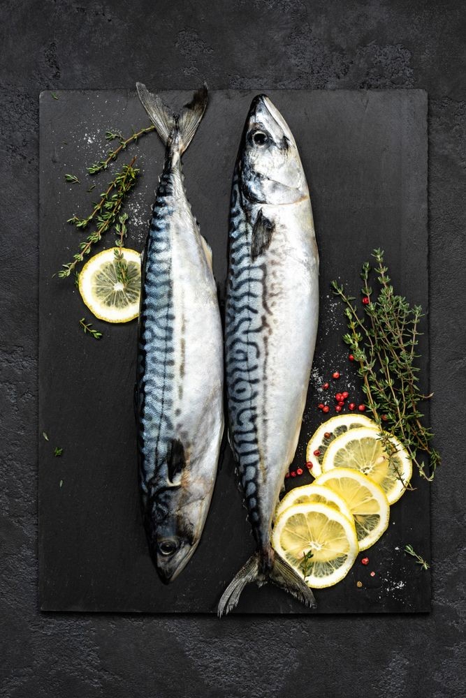 Fish
