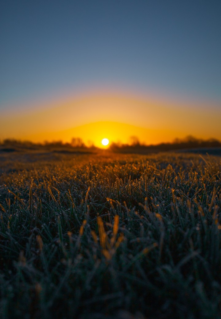 WALLPAPER _ 4K