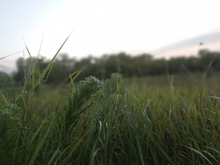 закат на природе