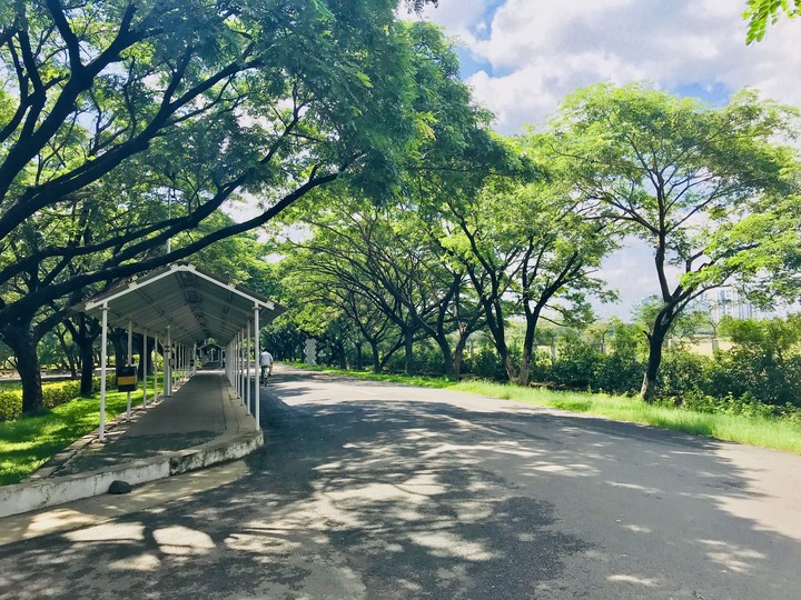 university campus