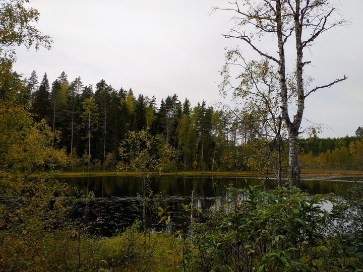 Карелия