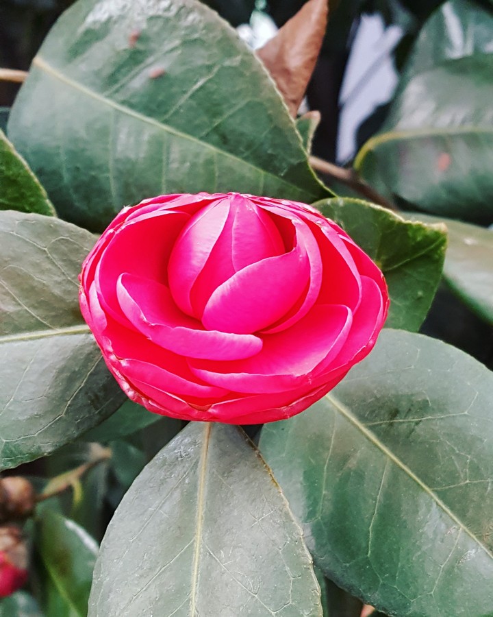 spring has come