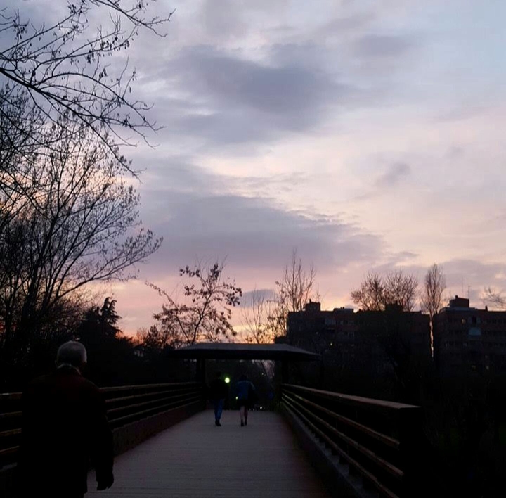 Cedri (my favourite park)