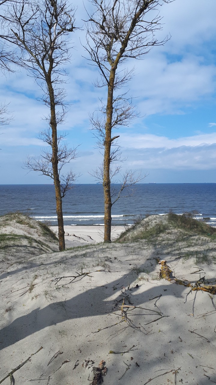 Balticsea