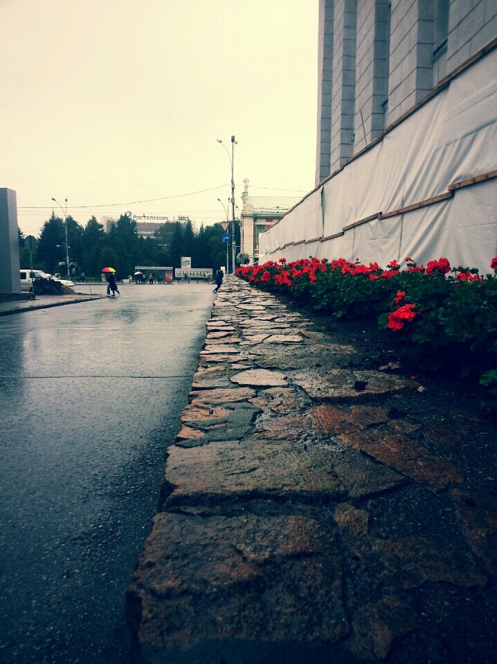 Rain