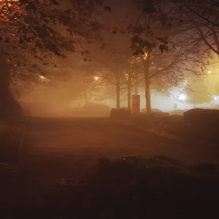 Foggy morning