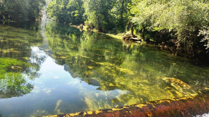 Green Water
