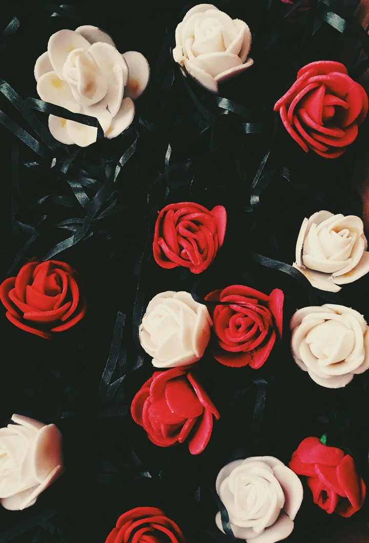 mini roses