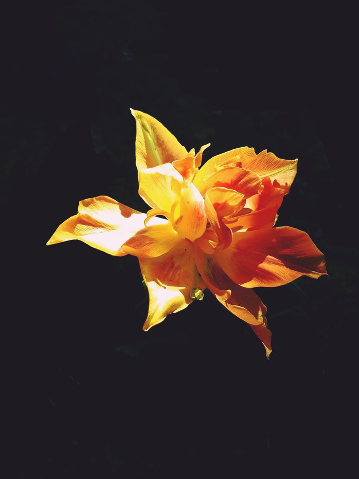 A light in the dark (edited)