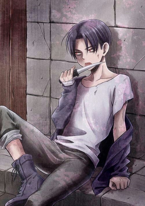 Levi