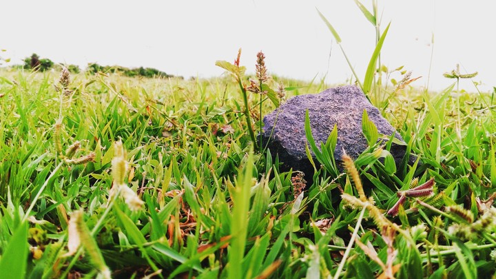 green and rock world