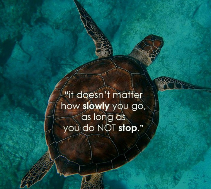 text