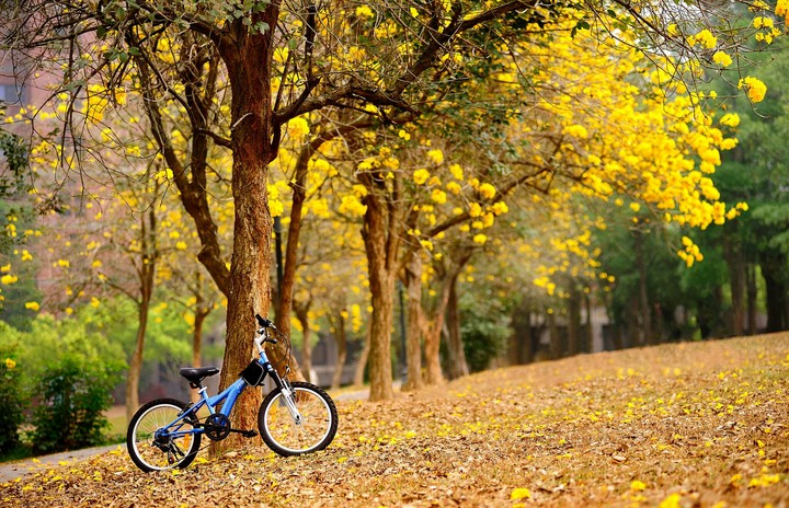 cycle at beautiful place