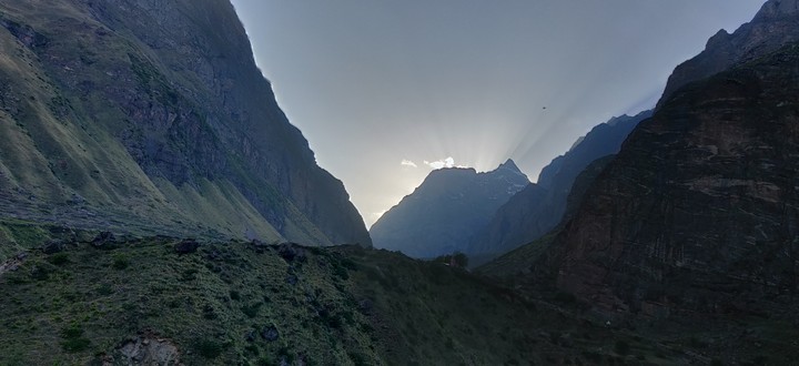rays