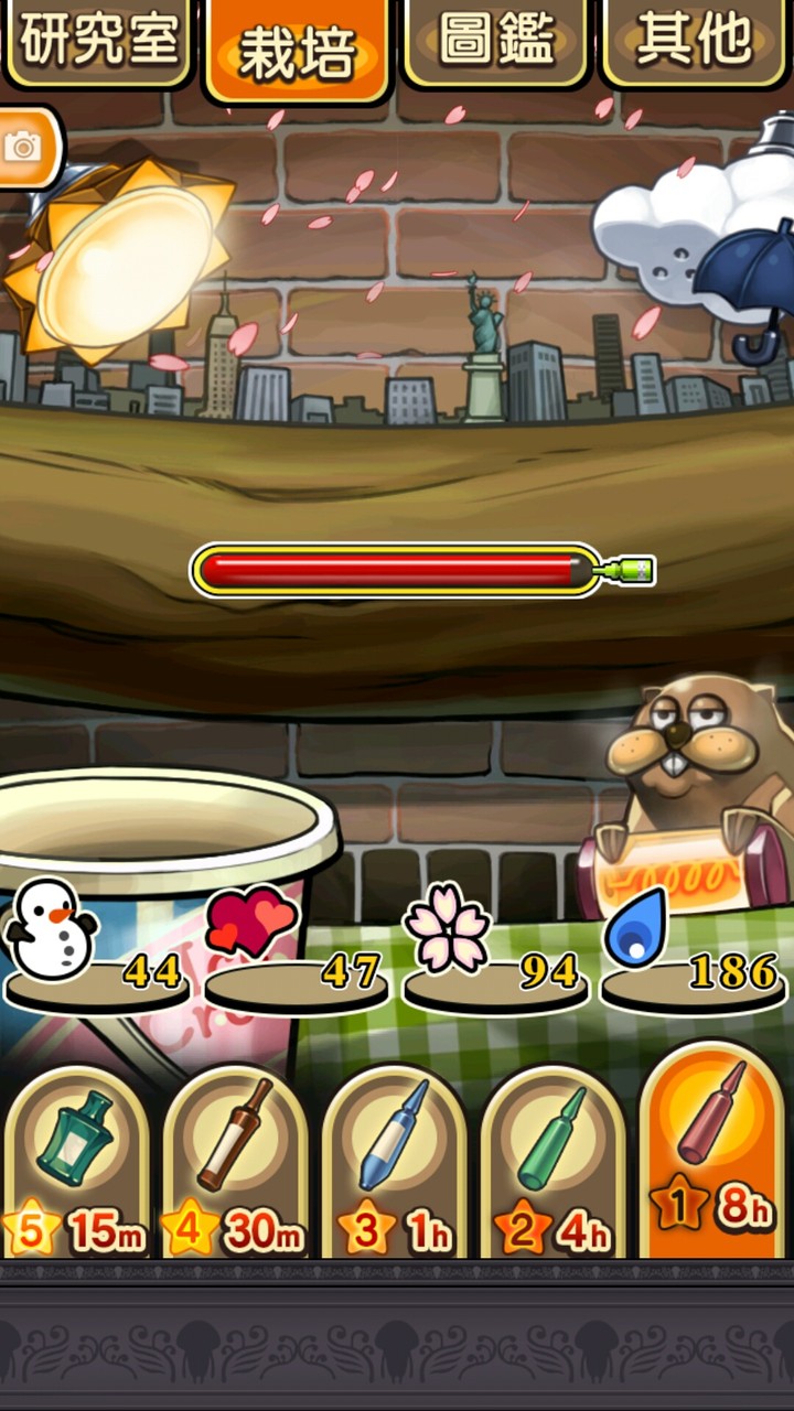 菇