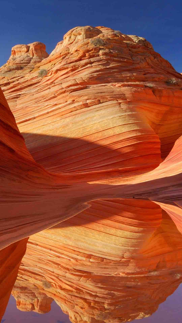 arizona