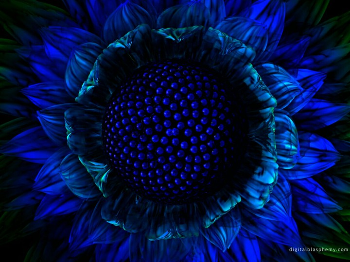 Dark Blue