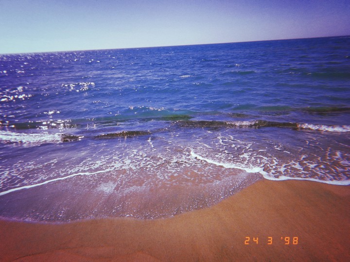 ~SEA~