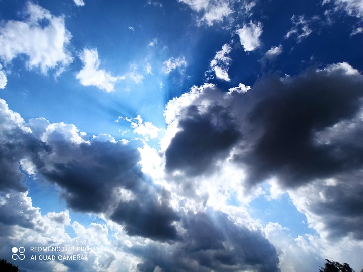 cielo