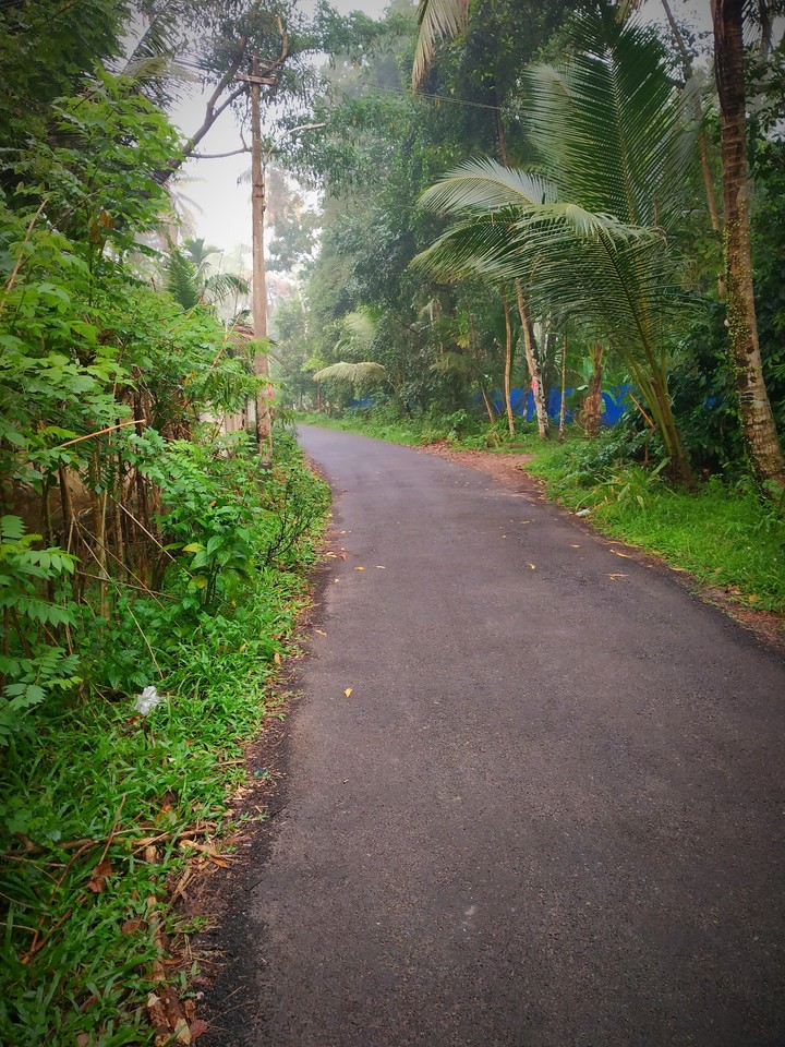 village road in kerala