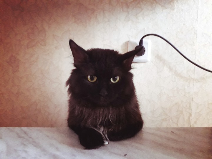 радость