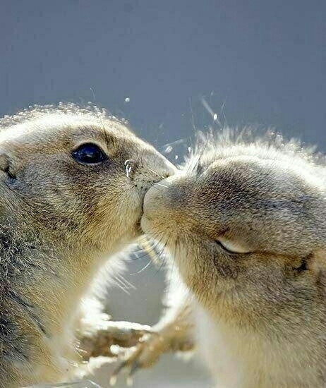 ❤