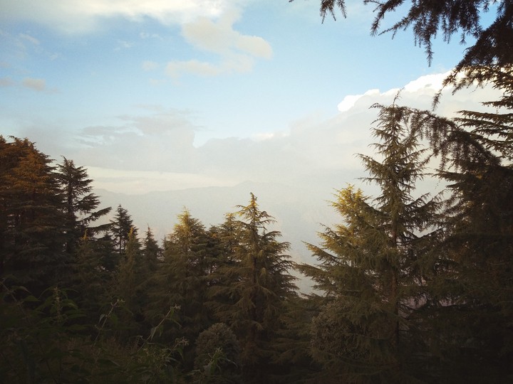 hill_station tree sky mountain #uttrakhnad #Vbv_photography