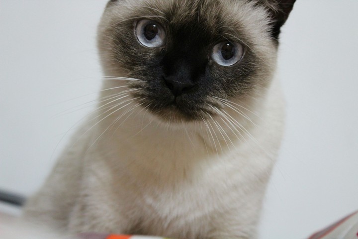 she is surprised , maybe